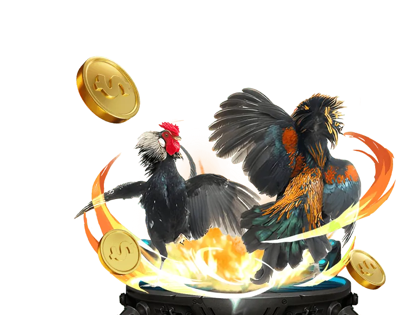 Mẹo cá cược thể thao VZ99